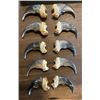 Image 1 : (10) XXL BLACK BEAR Front Claws