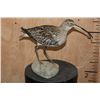 Image 2 : *Rarely Seen* CURLEW or EURASIAN CURLEW on a Driftwood Base