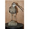 Image 3 : *Rarely Seen* CURLEW or EURASIAN CURLEW on a Driftwood Base