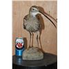 Image 6 : *Rarely Seen* CURLEW or EURASIAN CURLEW on a Driftwood Base
