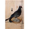 Image 1 : *Rarely Seen* BLACK GROUSE on a Tree Branch and Wood Plaque Base