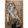 Image 2 : Life-sized CANADIAN LYNX on a Decorative Driftwood Base