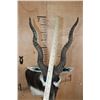 Image 8 : BLACKBUCK Wall Pedestal Mount