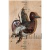 Image 2 : Flying FERRUGINOUS DUCK on a Wood Plaque