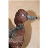 Image 7 : Flying FERRUGINOUS DUCK on a Wood Plaque