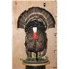 Image 3 : Life-sized MERRIAM'S WILD TURKEY on a Decorative Wood Plaque Base