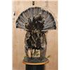 Image 9 : Life-sized MERRIAM'S WILD TURKEY on a Decorative Wood Plaque Base