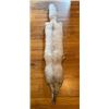 Image 1 : *New* Soft and Tanned BLUE RANCH FOX Fur, Hide or Pelt with its Head and Big Tail