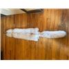 Image 3 : *New* Soft and Tanned BLUE RANCH FOX Fur, Hide or Pelt with its Head and Big Tail