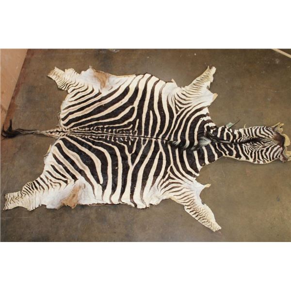 ZEBRA Hide or ZEBRA Rug