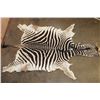 Image 1 : ZEBRA Hide or ZEBRA Rug