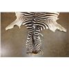 Image 3 : ZEBRA Hide or ZEBRA Rug