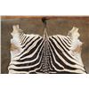 Image 4 : ZEBRA Hide or ZEBRA Rug