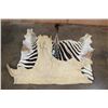 Image 5 : ZEBRA Hide or ZEBRA Rug