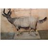 Image 7 : Big Life-sized NYALA on a Base with Wheels