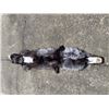 Image 4 : *New* Soft and Tanned SILVER RANCH FOX Fur, Hide, or Pelt