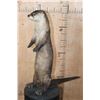 Image 3 : Big Life-sized Standing RIVER OTTER on Wires with No Base