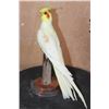 Image 1 : LUTINO COCKATIEL Perched on a Wood Base