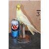 Image 6 : LUTINO COCKATIEL Perched on a Wood Base