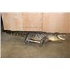 Image 6 : XXL Freestanding Life-sized Monster ALLIGATOR