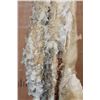 Image 13 : XXL Museum Quality STALACTITE or STALAGMITE on a Custom Plexiglass Stand