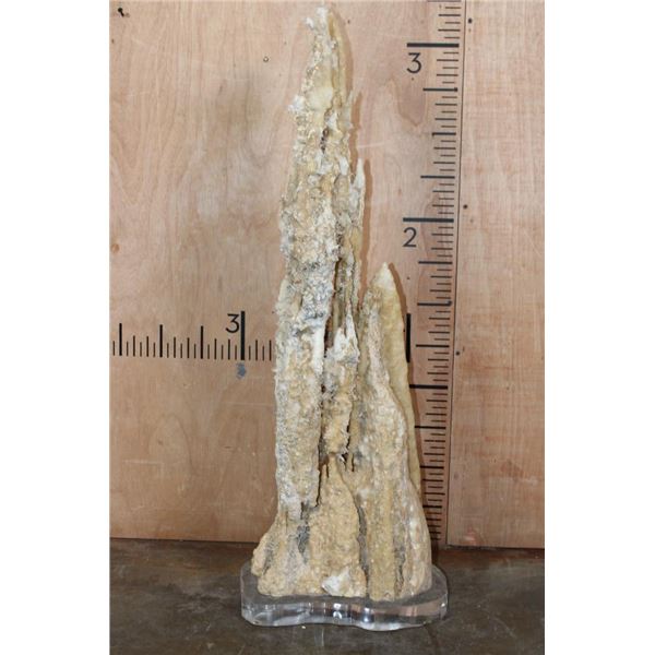 XXL Museum Quality STALACTITE or STALAGMITE on a Custom Plexiglass Stand