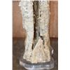 Image 5 : XXL Museum Quality STALACTITE or STALAGMITE on a Custom Plexiglass Stand