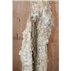 Image 6 : XXL Museum Quality STALACTITE or STALAGMITE on a Custom Plexiglass Stand