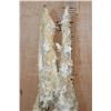 Image 7 : XXL Museum Quality STALACTITE or STALAGMITE on a Custom Plexiglass Stand