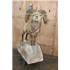 Image 11 : Massive ROCKY MOUNTAIN BIGHORN Sheep Ram on a Rock Base