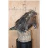 Image 2 : Life-sized NORTH AMERICAN PORCUPINE on a Log Base