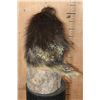 Image 6 : Life-sized NORTH AMERICAN PORCUPINE on a Log Base