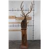 Image 14 : AXIS DEER in Velvet Pedestal Mount with Axis Hide on All Sides of the Base