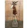 Image 3 : *TEXAS RESIDENTS ONLY* Life-sized BONTEBOK on a Base with Wheels