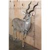 Image 2 : Life-sized LESSER KUDU on Bolts with No Base