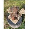 Image 3 : ALASKAN WILLOW PTARMIGAN with Fall Plumage on a Decorative Base