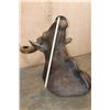 Image 11 : *Rarely Seen* XXL GAUR or INDIAN BISON Shoulder Mount
