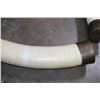 Image 4 : *TEXAS RESIDENTS ONLY* Big Set of (2) ELEPHANT IVORY TUSKS with Brass Caps