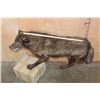Image 3 : Life-sized WOLF on Bolts with No Base
