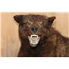 Image 6 : Life-sized WOLF on Bolts with No Base