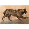 Image 8 : Life-sized WOLF on Bolts with No Base
