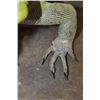 Image 12 : *Rarely Seen* Big Life-sized IGUANA