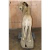 Image 10 : *TEXAS RESIDENTS ONLY* Life-sized AFRICAN LION on a Rock Base