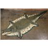 Image 1 : XXL *Real Skin* with a Reproduction Head CROCODILE Hide Rug