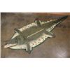 Image 2 : XXL *Real Skin* with a Reproduction Head CROCODILE Hide Rug