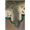 Image 7 : XXL *Real Skin* with a Reproduction Head CROCODILE Hide Rug