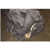 Image 5 : XL Life-sized EAST CAUCASION TUR on a Rock Base