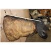 Image 7 : XXL CAPE BUFFALO Shoulder Mount