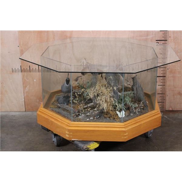 6 CALIFORNIA QUAIL in an Octagonal Glass Table Display