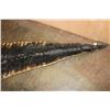 Image 12 : XXL ALLIGATOR Hide or ALLIGATOR Rug with its Mounted Head, Feet, and Claws